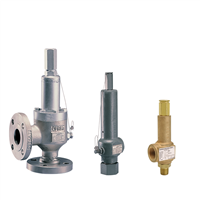 Anderson Greenwood Direct Spring Operated Pressure Relief Valves Series 60/80